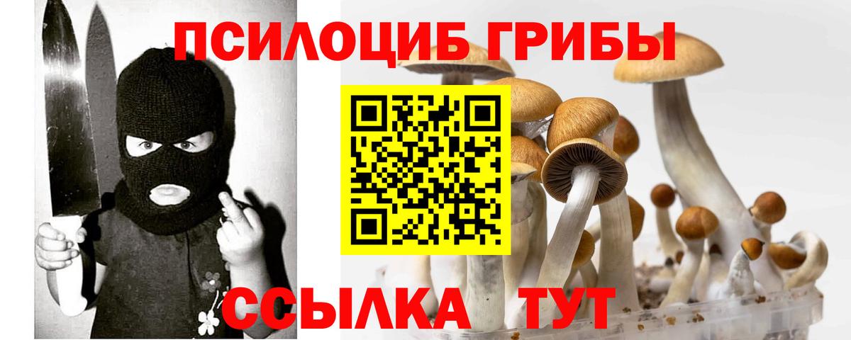 Галлюциногенные грибы Cubensis  Вход с VPN  Галлюциногенные грибы Magic Shrooms  Шелехов 