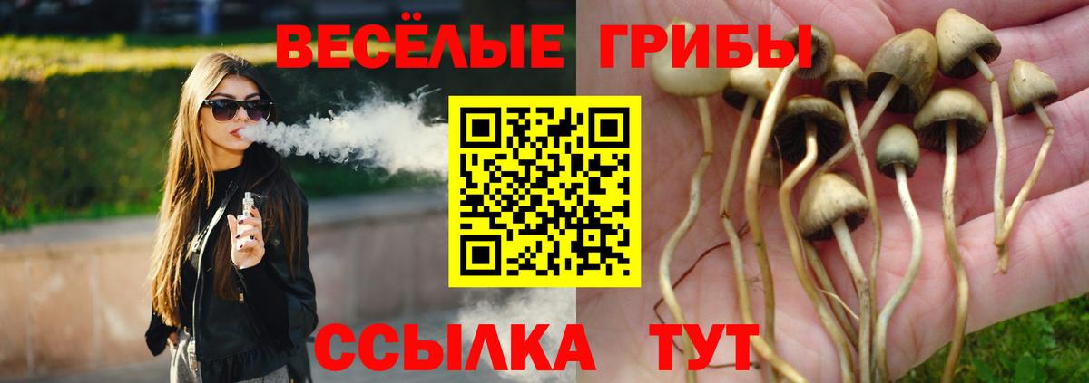 Псилоцибиновые грибы прущие грибы Шелехов