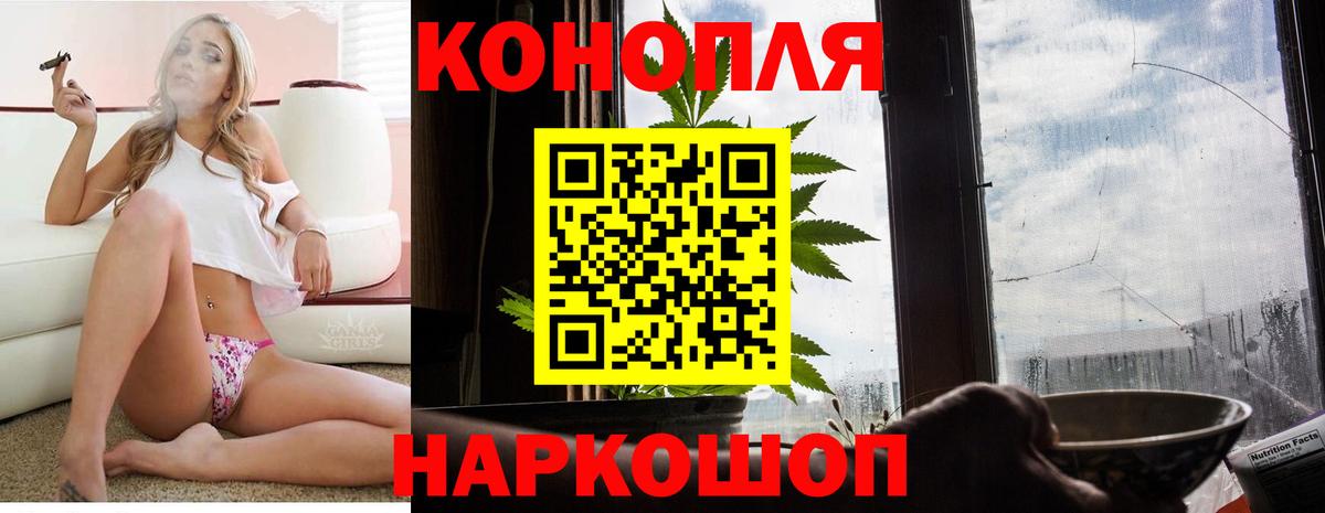Шишки марихуана сатива Шелехов